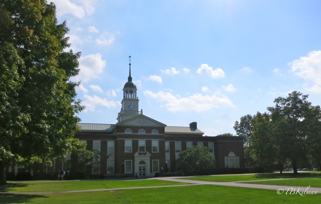 College lIbrary, college campus, library 