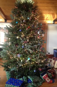 Christmas Tree, Christmas Gifts