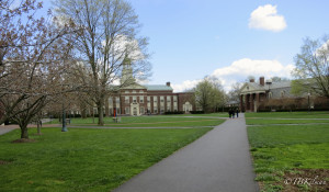 College Campus Move In