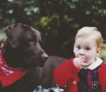 goodbye to the family dog