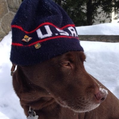USA, OLympics, therapy dog