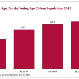 Why Don't Young Adults Vote?