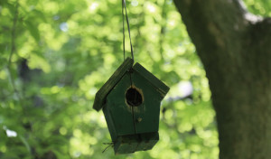 What will an empty nest home feel like? 