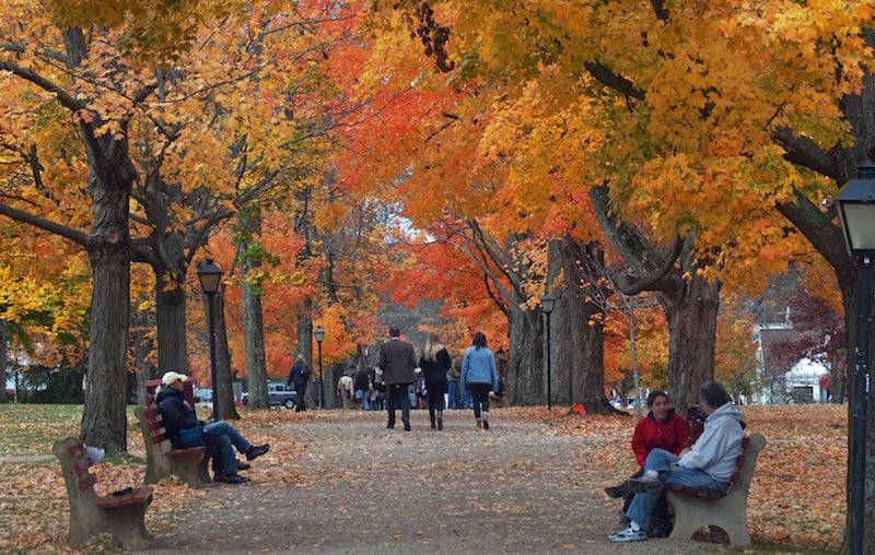 autumn college scene