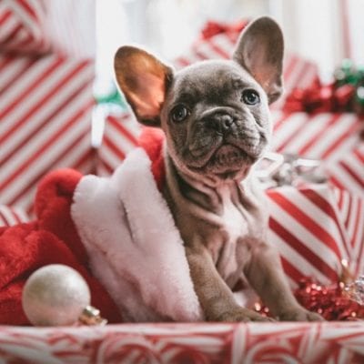 2018 Gifts for College Kids and Teens: We Love These!