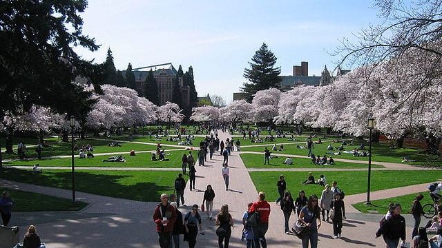 What a mom hopes that college has taught her graduating son