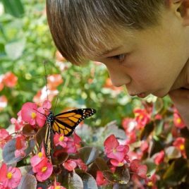 How to help children develop their own wings
