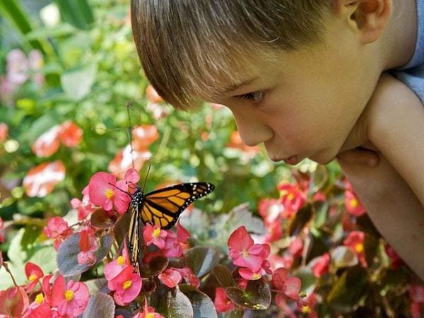 How to help children develop their own wings 