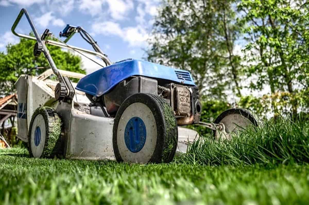 College Professor Warns: How Not to Be a ‘Lawn Mower’ Parent