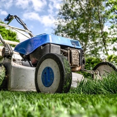 College Professor Warns: How Not to Be a Lawn Mower Parent