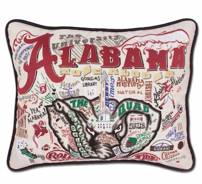 embroidered collegiate pillow 