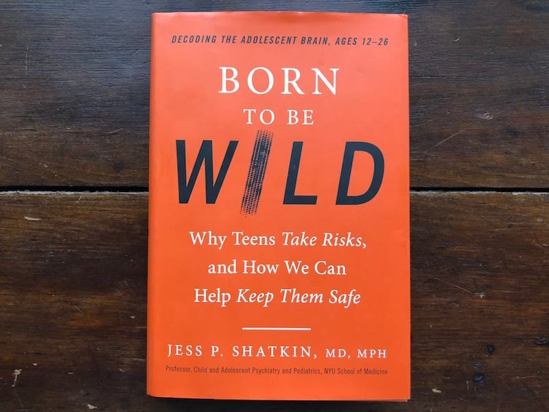 Born to be Wild: Why Teens Take Risks