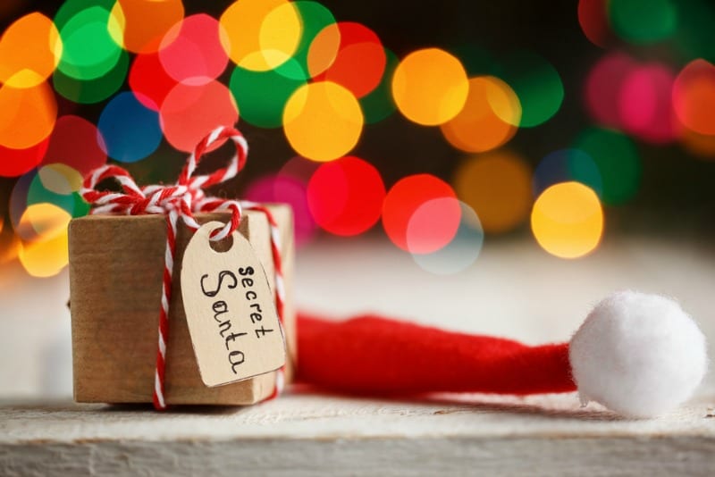 The Best Secret Santa Gifts Under $30, 2022