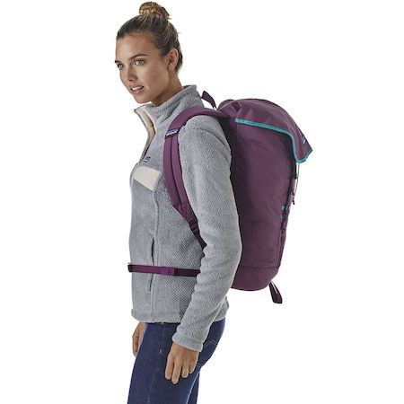 patagonia back pack 