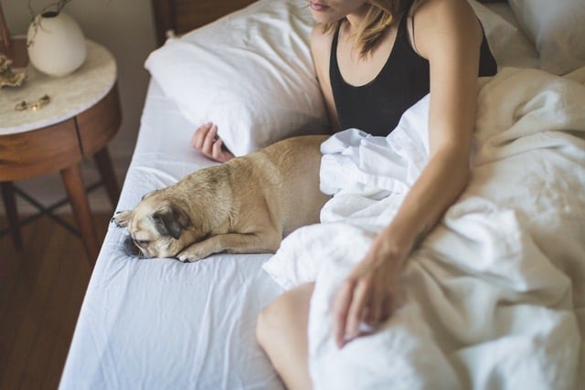 woman with dog in bed 