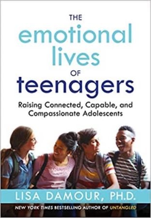 emotional lives of teenagers