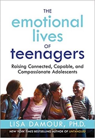 emotional lives of teenagers 