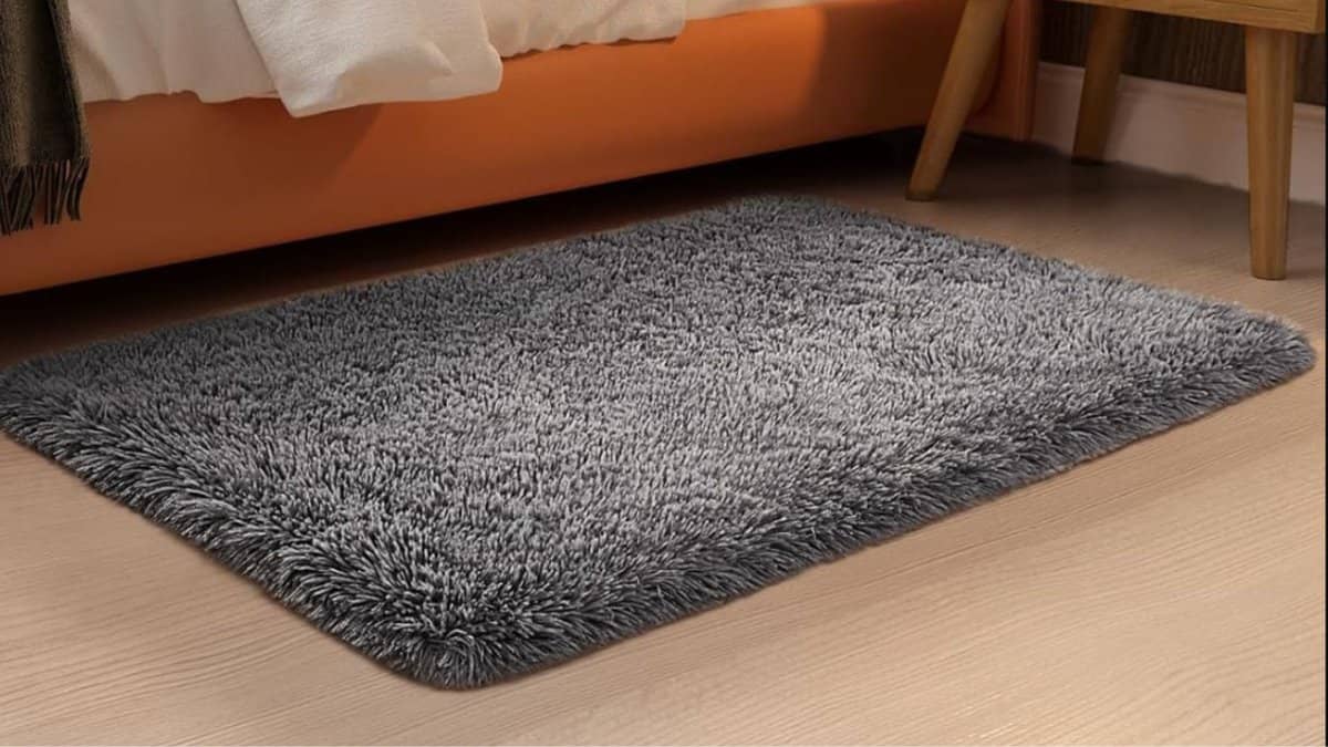 Best Dorm Room Rugs: Ophanie 