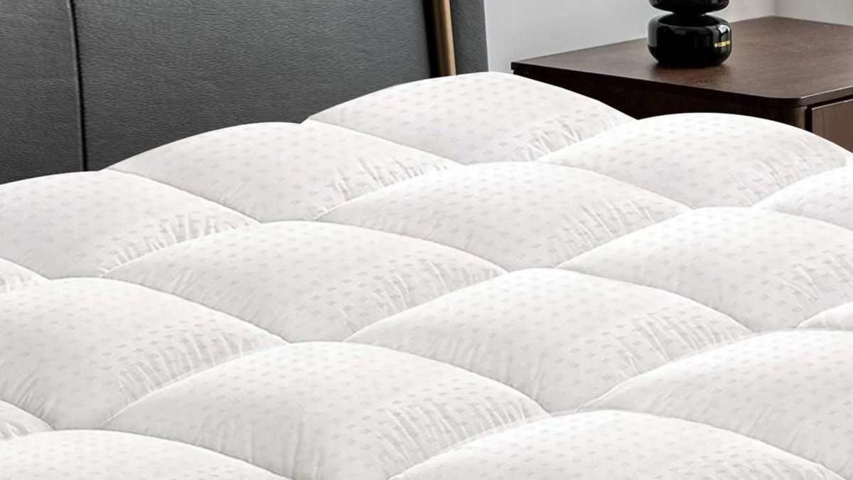 Alwyn Home Quilted Fitted Mattress Pad