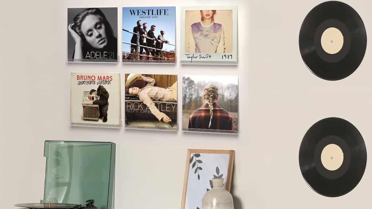 Vinyl record shelves 